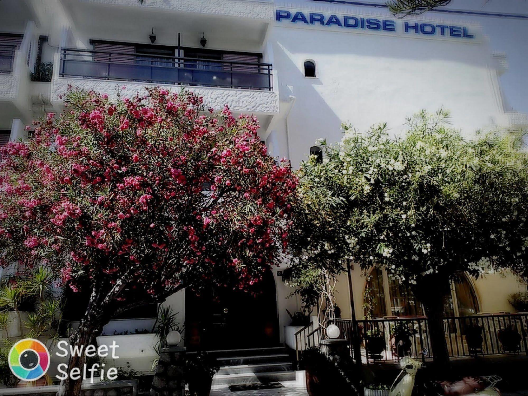 Paradise Hotel Kos By Eksteriør billede